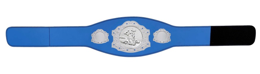 SILVER CHAMPIONSHIP BELT - XXLMIDI/G/MMAS - AVAILABLE IN 4 LEATHER COLOURS SILVER CHAMPIONSHIP BELT - XXLMIDI/G/MMAS - AVAILABLE IN 4 LEATHER COLOURS